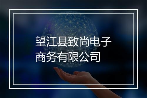 望江县致尚电子商务有限公司