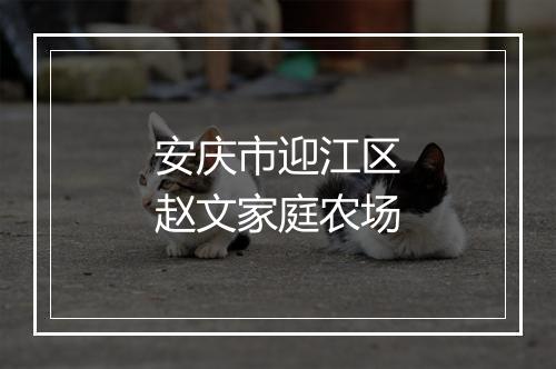 安庆市迎江区赵文家庭农场