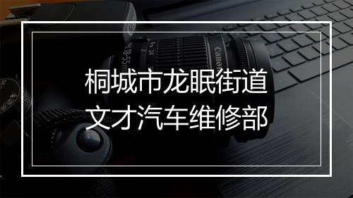 桐城市龙眠街道文才汽车维修部