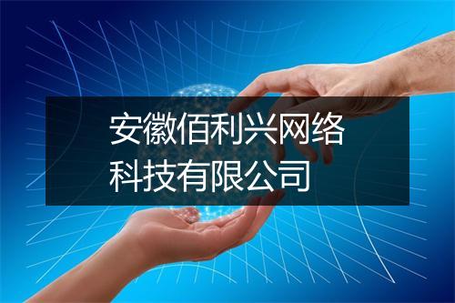 安徽佰利兴网络科技有限公司