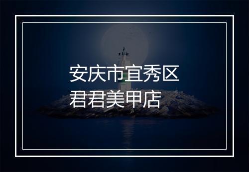安庆市宜秀区君君美甲店