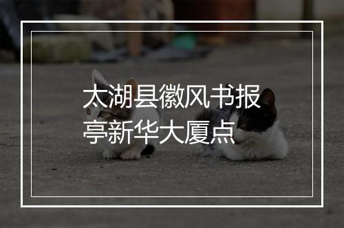 太湖县徽风书报亭新华大厦点