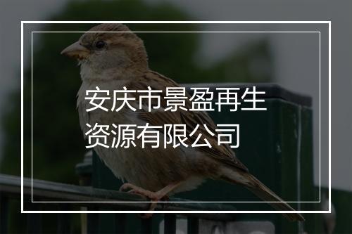 安庆市景盈再生资源有限公司