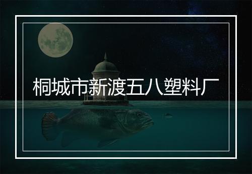 桐城市新渡五八塑料厂