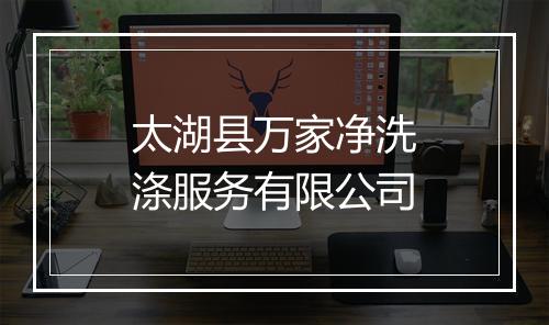 太湖县万家净洗涤服务有限公司