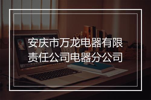 安庆市万龙电器有限责任公司电器分公司