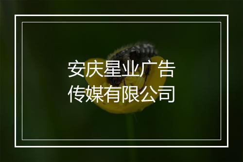 安庆星业广告传媒有限公司