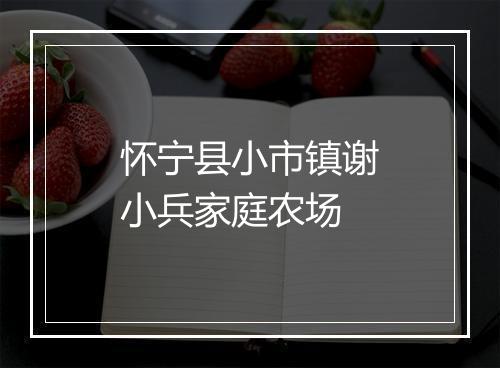 怀宁县小市镇谢小兵家庭农场