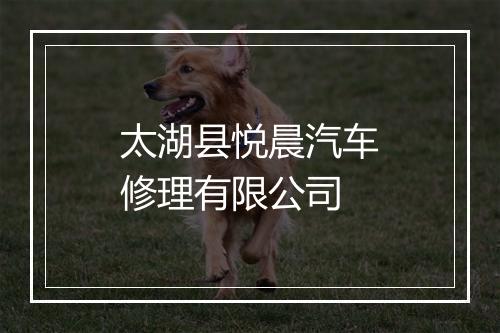 太湖县悦晨汽车修理有限公司