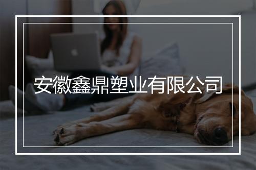 安徽鑫鼎塑业有限公司