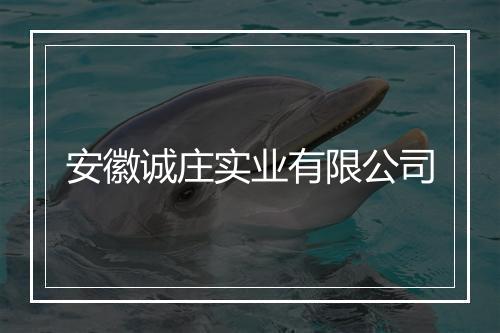 安徽诚庄实业有限公司