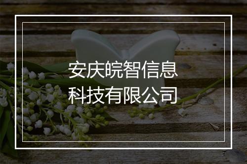 安庆皖智信息科技有限公司