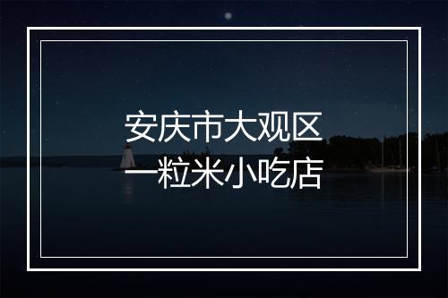 安庆市大观区一粒米小吃店