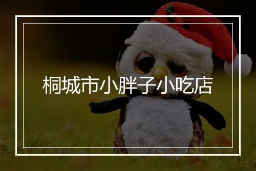 桐城市小胖子小吃店