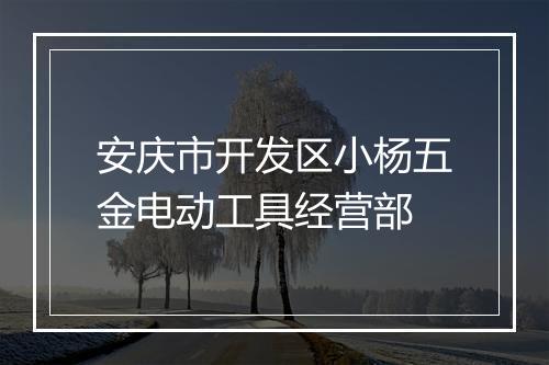 安庆市开发区小杨五金电动工具经营部