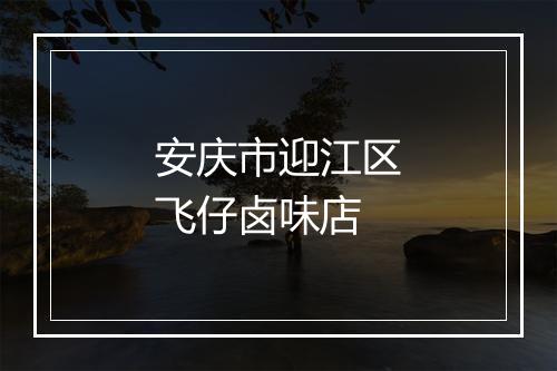 安庆市迎江区飞仔卤味店