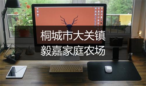 桐城市大关镇毅嘉家庭农场