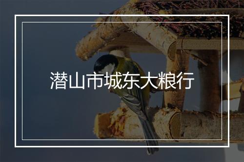 潜山市城东大粮行