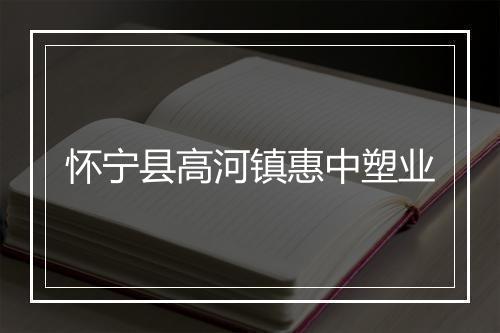 怀宁县高河镇惠中塑业