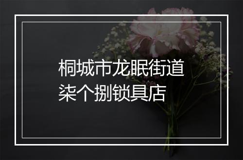 桐城市龙眠街道柒个捌锁具店