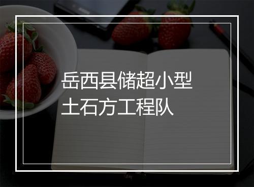 岳西县储超小型土石方工程队