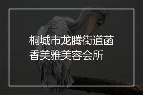 桐城市龙腾街道菡香美雅美容会所