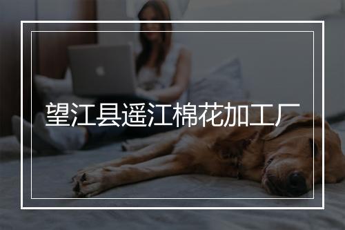 望江县遥江棉花加工厂