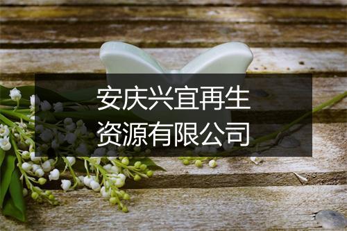 安庆兴宜再生资源有限公司