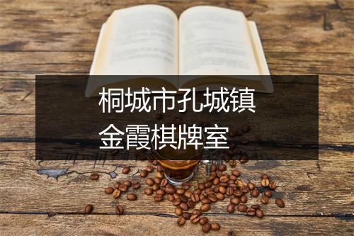 桐城市孔城镇金霞棋牌室