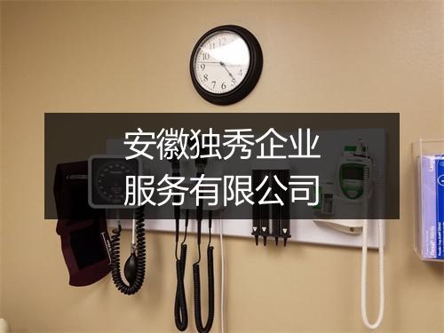 安徽独秀企业服务有限公司