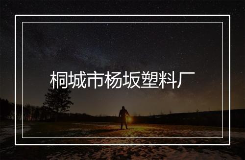 桐城市杨坂塑料厂