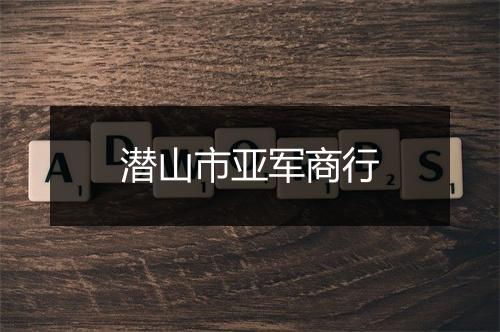 潜山市亚军商行