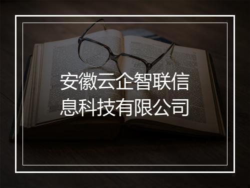 安徽云企智联信息科技有限公司