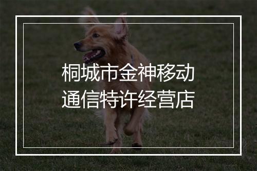 桐城市金神移动通信特许经营店