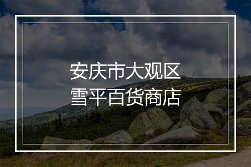 安庆市大观区雪平百货商店