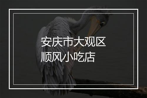 安庆市大观区顺风小吃店