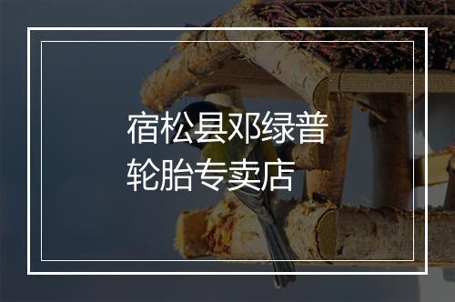 宿松县邓绿普轮胎专卖店