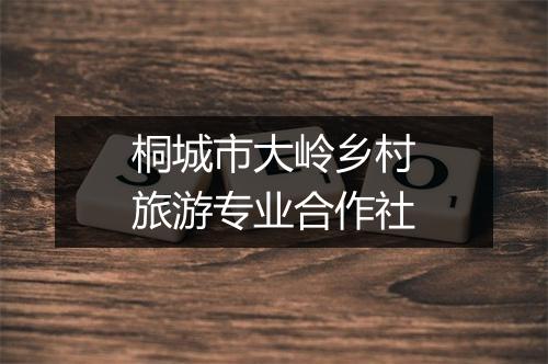 桐城市大岭乡村旅游专业合作社