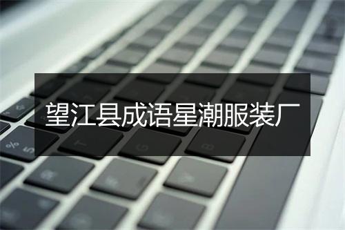 望江县成语星潮服装厂