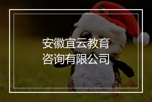安徽宜云教育咨询有限公司