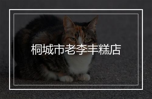 桐城市老李丰糕店