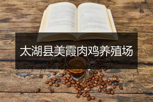 太湖县美霞肉鸡养殖场