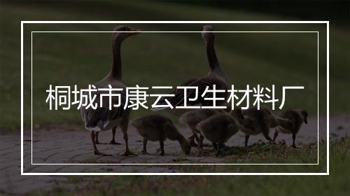 桐城市康云卫生材料厂