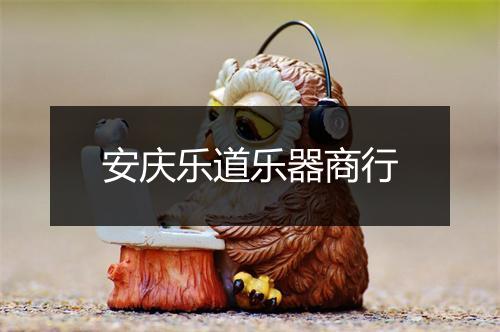 安庆乐道乐器商行