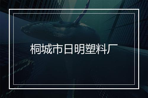 桐城市日明塑料厂