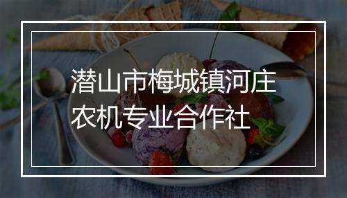 潜山市梅城镇河庄农机专业合作社
