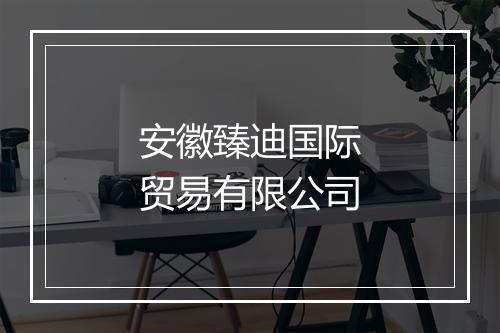 安徽臻迪国际贸易有限公司