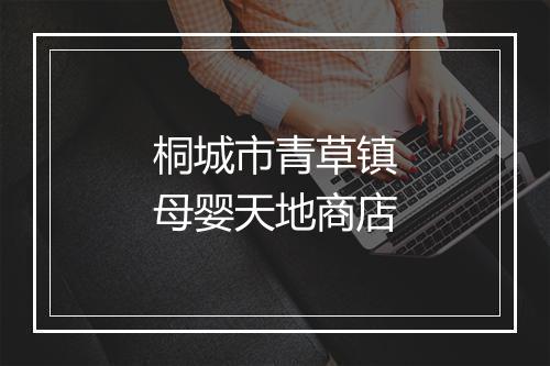 桐城市青草镇母婴天地商店