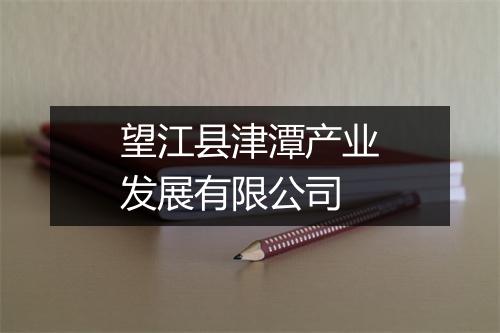 望江县津潭产业发展有限公司