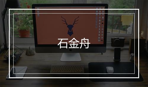 石金舟